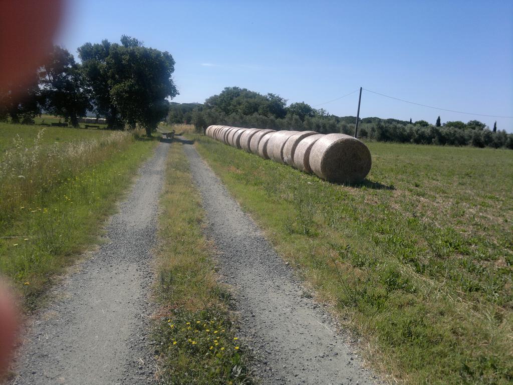 Agriturismo Il Selvello Le Versegge Dış mekan fotoğraf