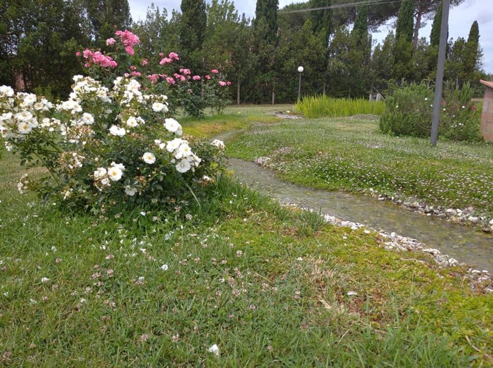 Agriturismo Il Selvello Le Versegge Dış mekan fotoğraf