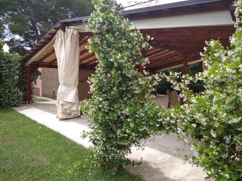 Agriturismo Il Selvello Le Versegge Dış mekan fotoğraf